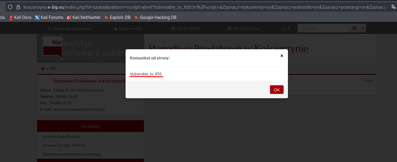 Reflected XSS Execution